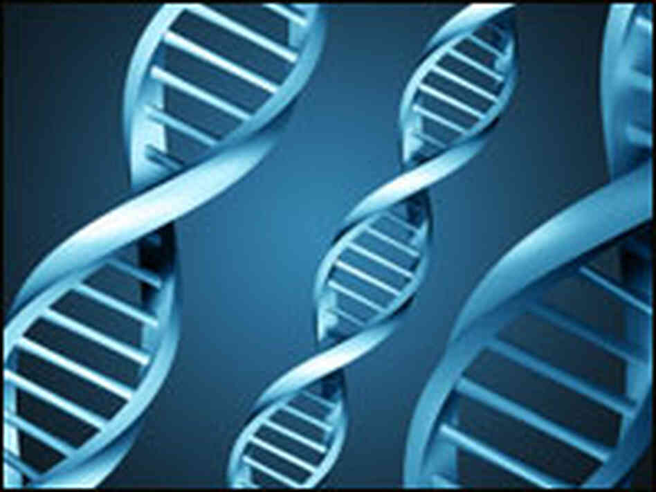 DNA DNA