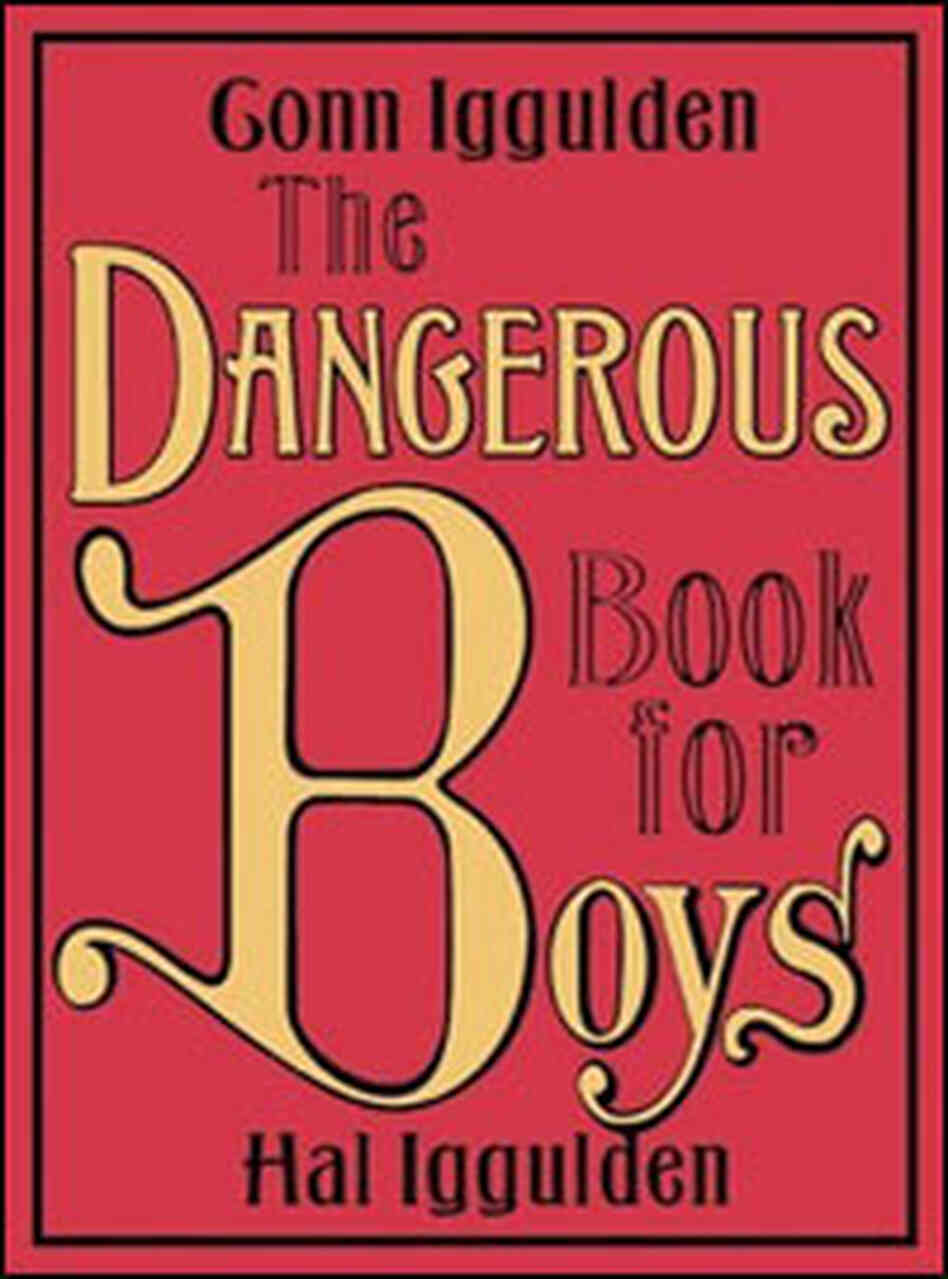 Book Cover: Dangerous Book for Boys Book Cover: Dangerous Book for Boys