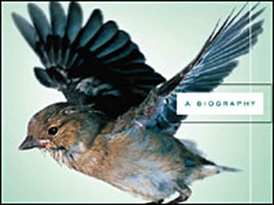 From the Cover of 'Darwin's Origin of Species' From the Cover of 'Darwin's Origin of Species'