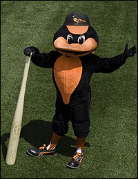 oriolebird200.jpg