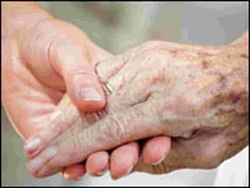 Young and old hands. Young and old hands.