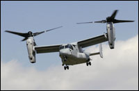 osprey2_200.jpg