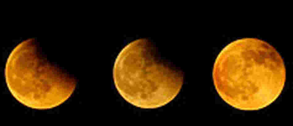 Stages of a Lunar Eclipse