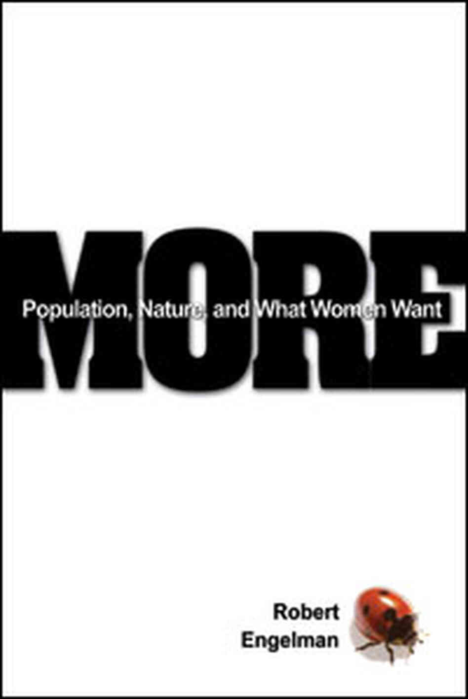 More Book Cover More Book Cover