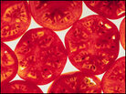 Tomato slices Tomato slices