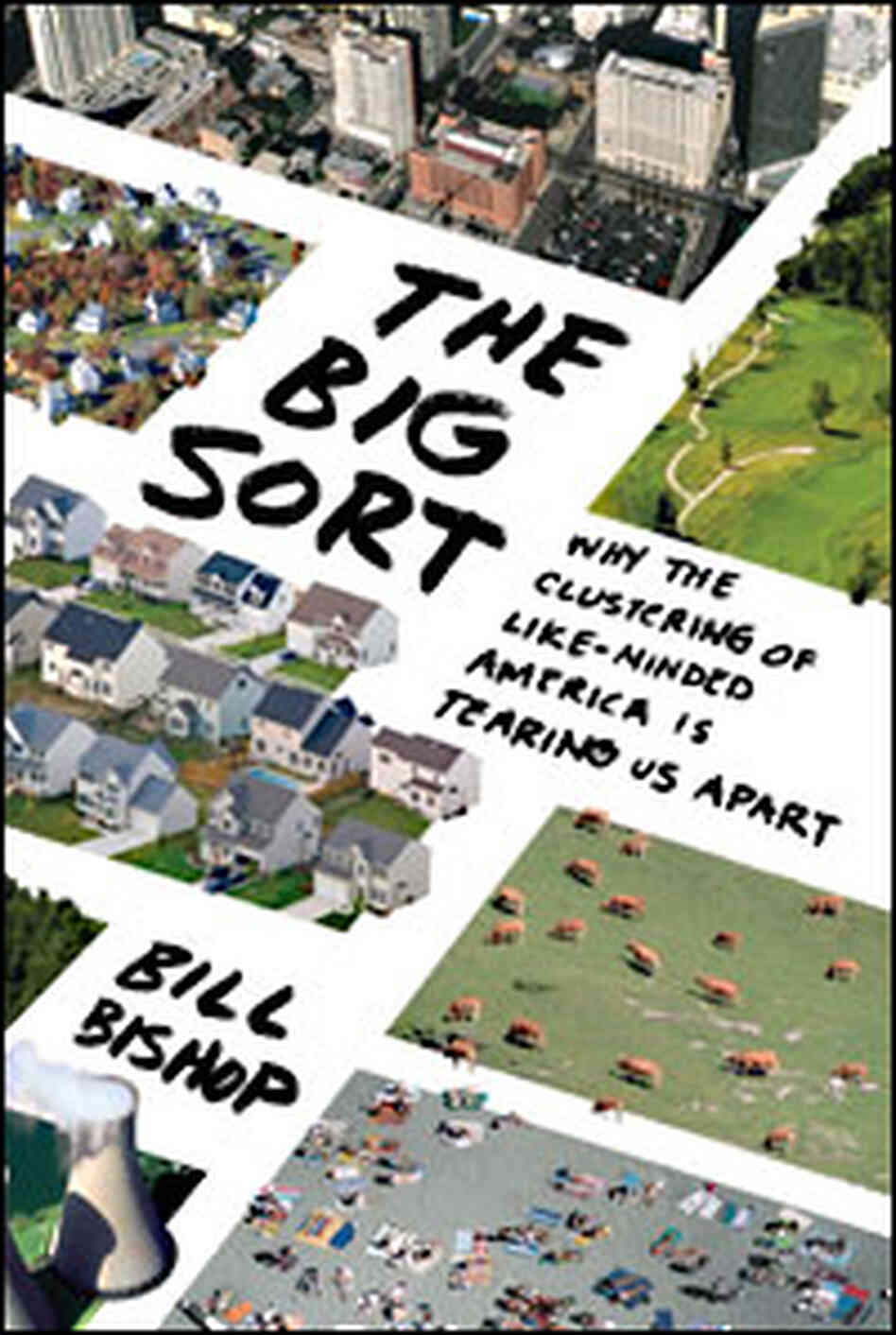 Big Sort book cover Big Sort book cover