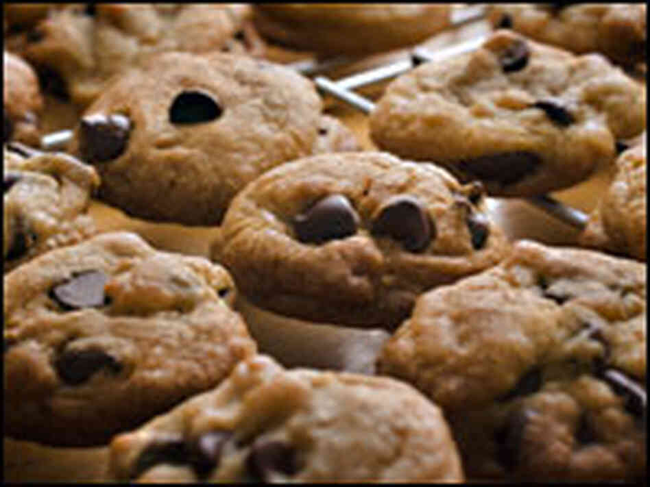 Chocolate Chip Cookie photo Chocolate Chip Cookie photo