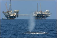 Offshore drilling