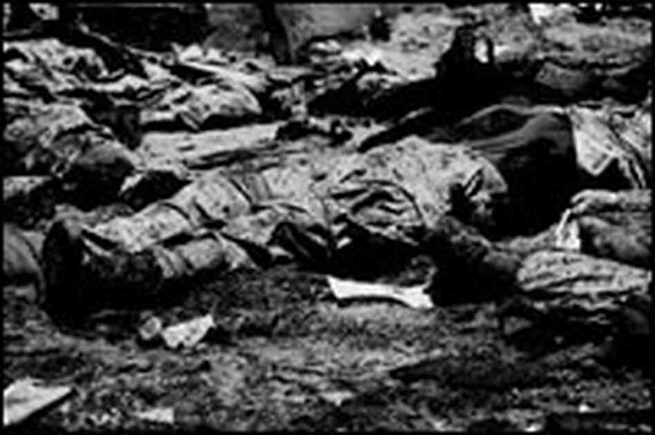 Dead bodies strewn on the ground in the aftermath of a suicide bombing in Anbar province. Dead bodies strewn on the ground in the aftermath of a suicide bombing in Anbar province.