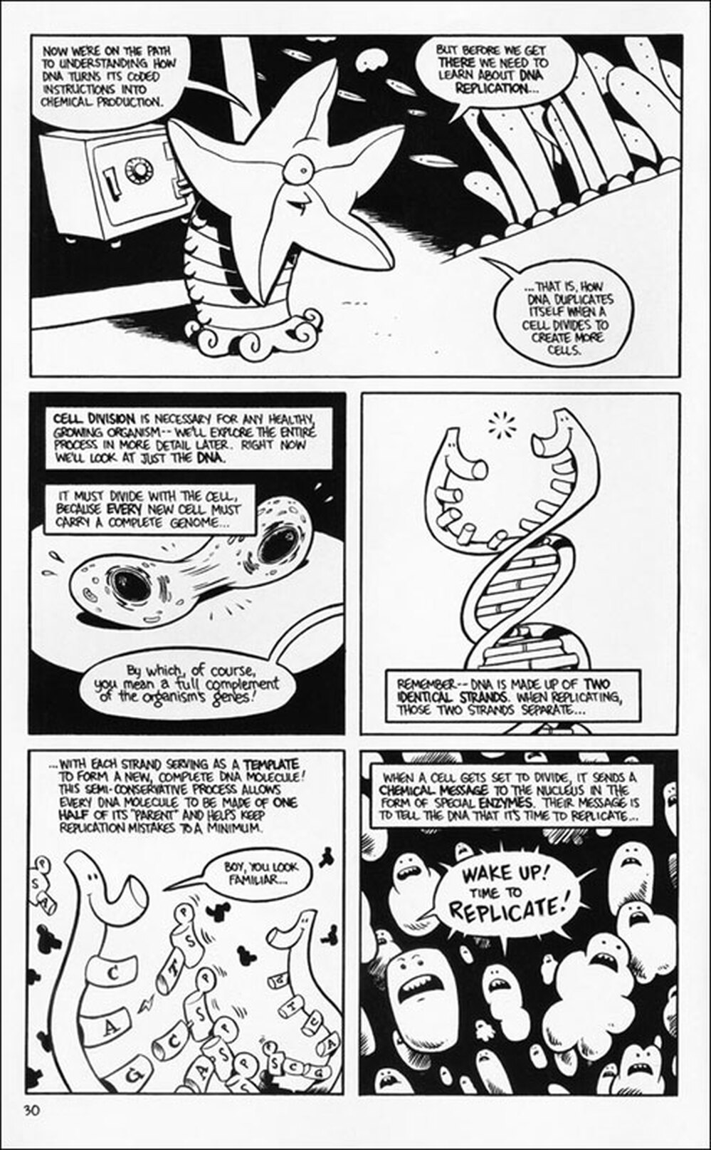Graphic excerpt from "The Stuff of Life"