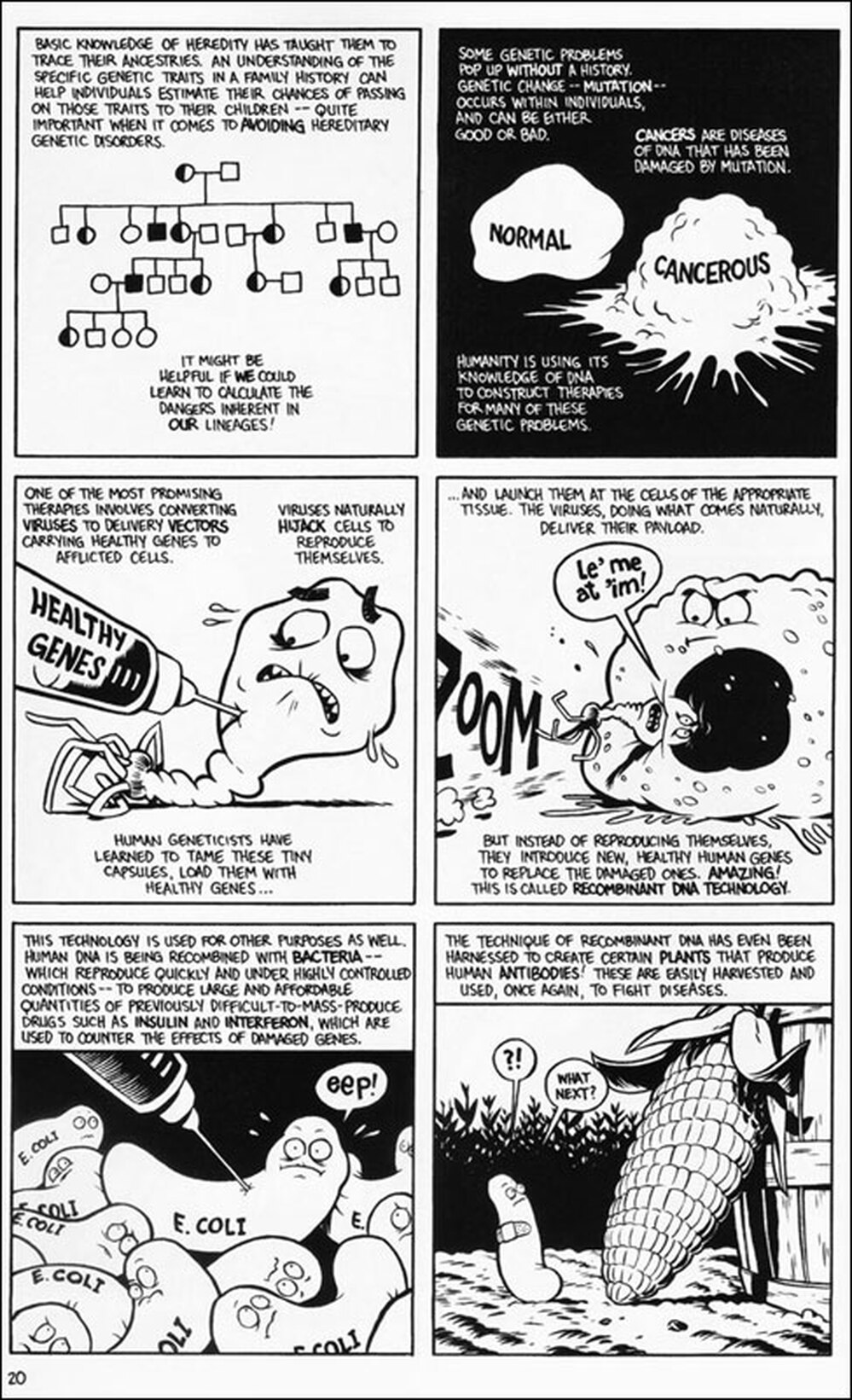 Graphic excerpt from "The Stuff of Life"