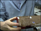 Scientist holds sediment sample Scientist holds sediment sample