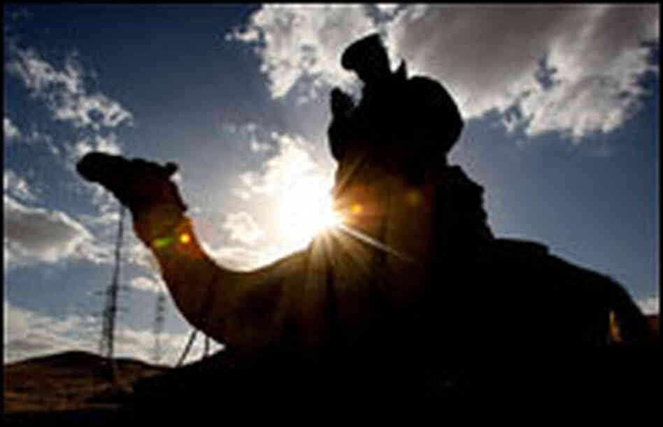 A policeman on a camel in Egypt