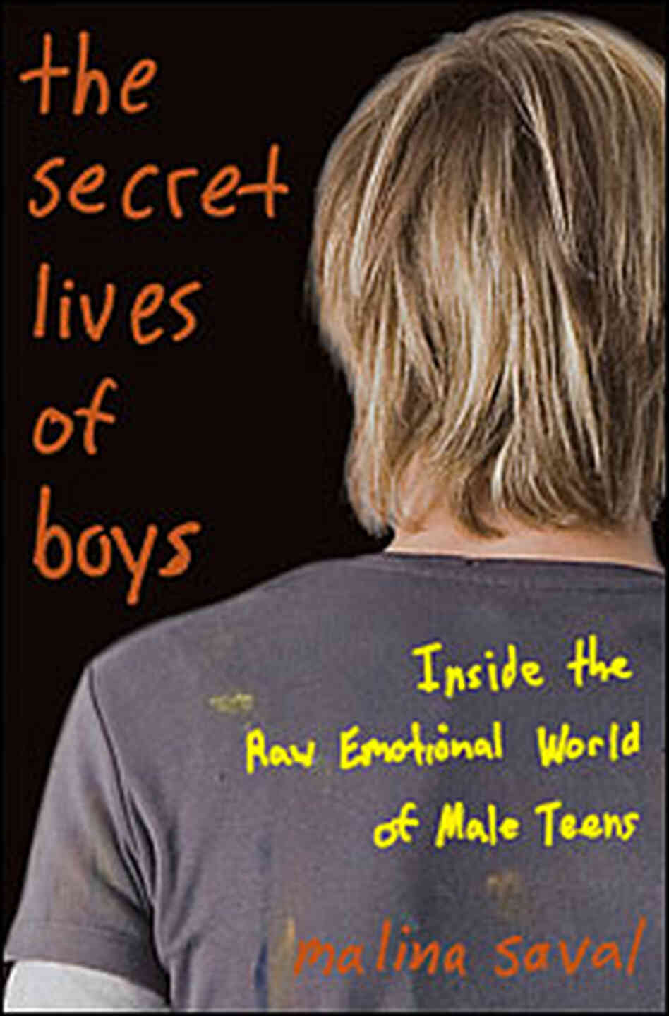 Cover of 'The Secret Lives Of Boys' Cover of 'The Secret Lives Of Boys'