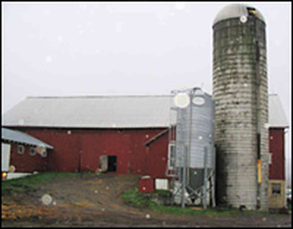 Snider Homestead Snider Homestead