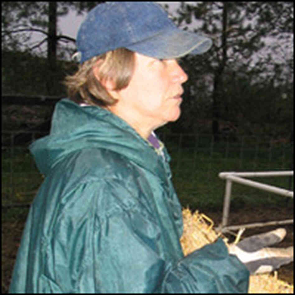 Lyn Garling Lyn Garling