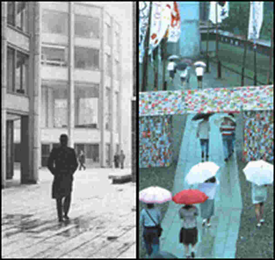 'The Nature of Order' delves into the 'life' of structures and spaces.