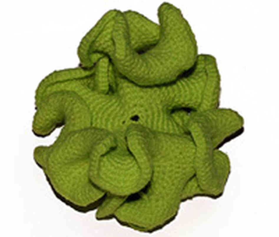 Circular hyperbolic plane