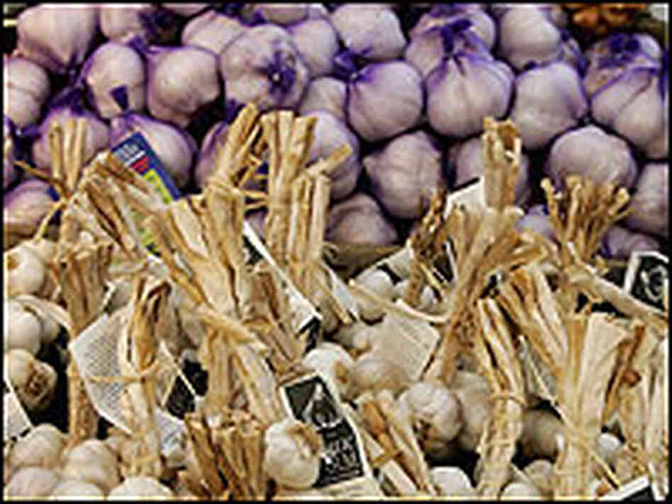 Image of Garlic Image of Garlic