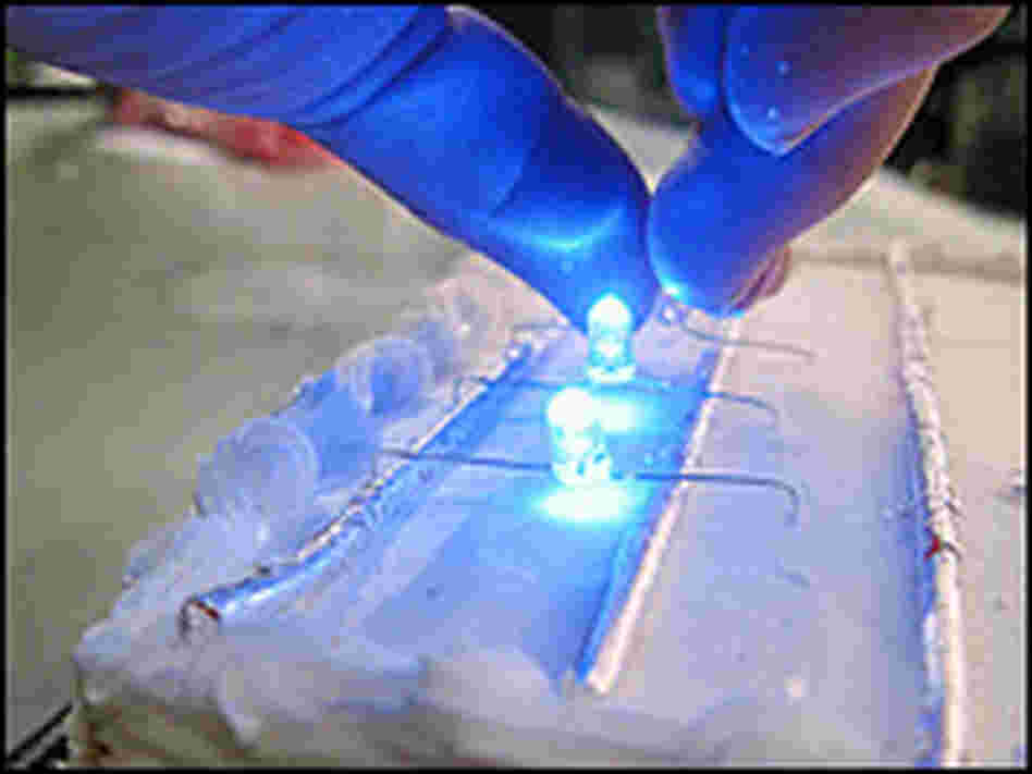 Putting LEDs on a cake. Travis Larchuk/NPR