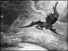 'Fallen Angel'
