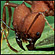A leafcutter ant. Credit: Courtesy of W. W. Norton & Co.