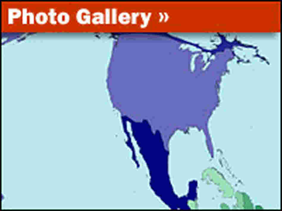 World Maps Colored By Number World Maps Colored By Number
