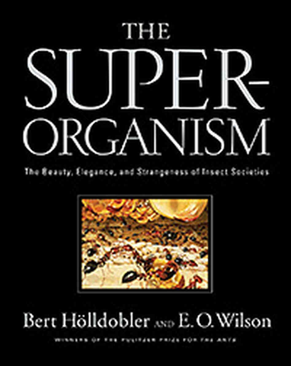 "The Superorganism." Image courtesy of W. W. Norton & Company "The Superorganism." Image courtesy of W. W. Norton & Company