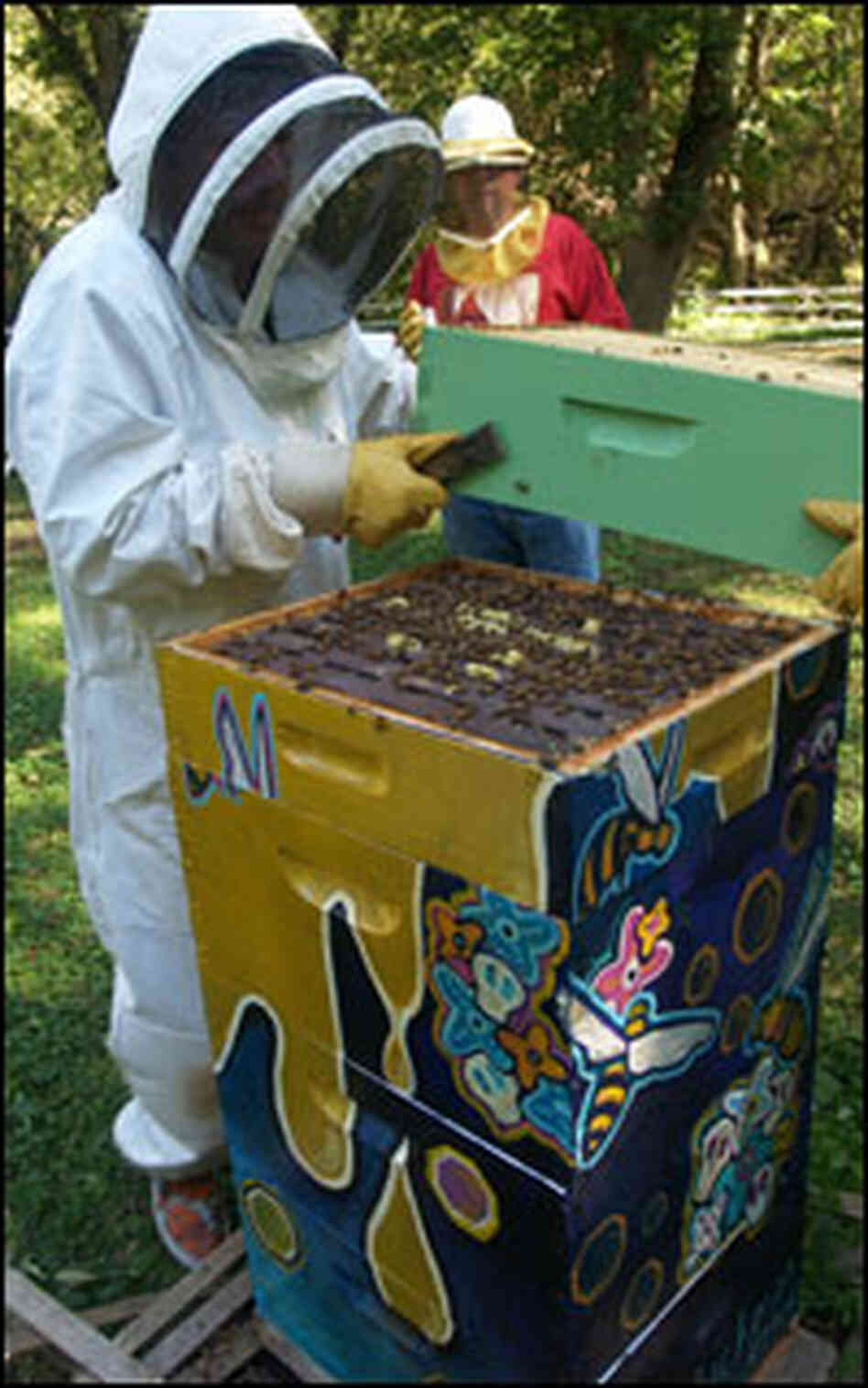 Neil Gaiman harvests honey.