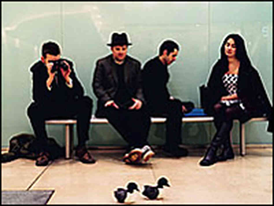 The Guillemots, at their leisure. The Guillemots, at their leisure.