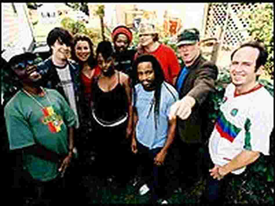 Easy Star All-Stars. Easy Star All-Stars.
