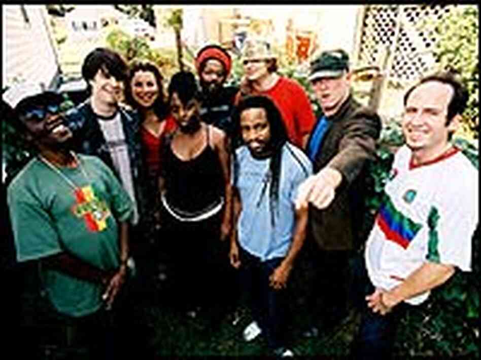 Easy Star All-Stars. Easy Star All-Stars.