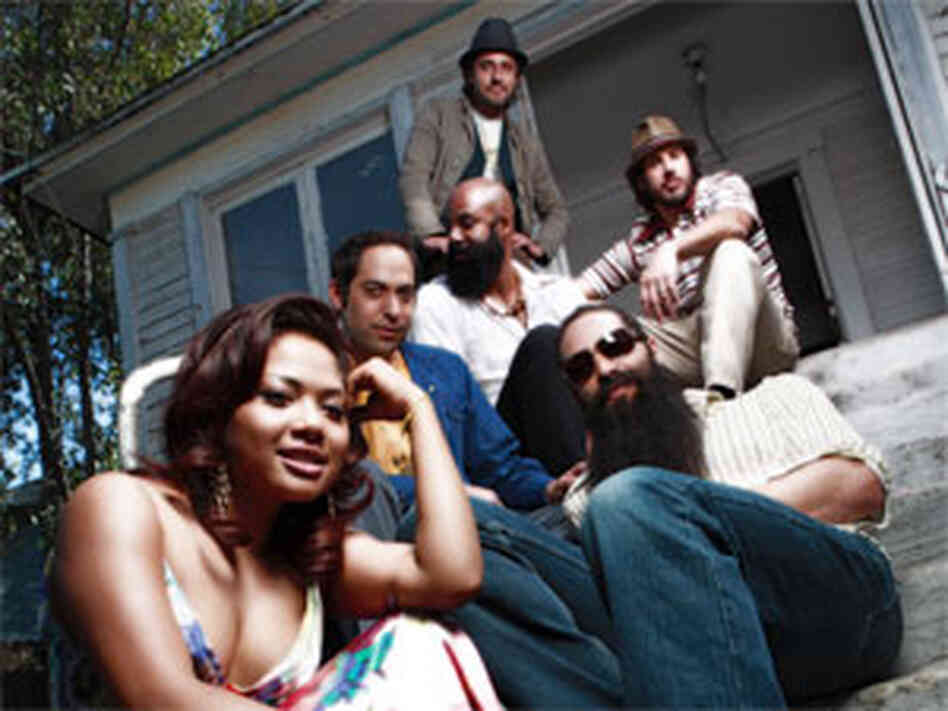 Dengue Fever (300) Dengue Fever (300)