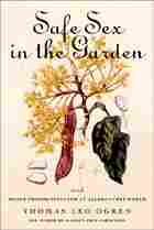 Safe Sex in the Garden book cover Safe Sex in the Garden book cover