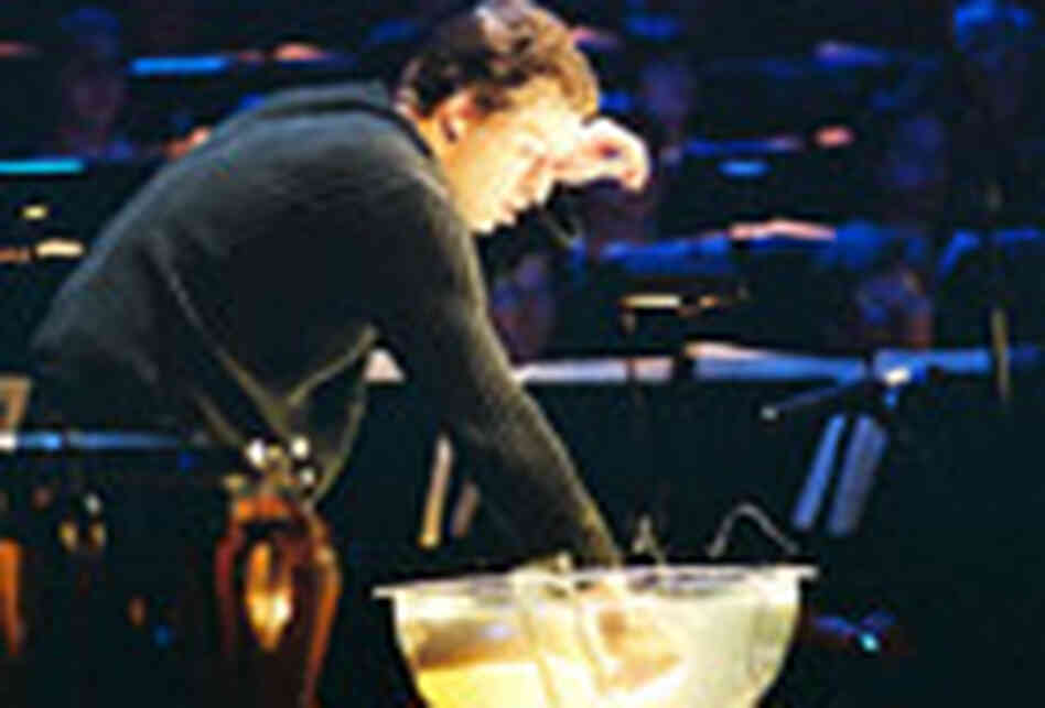 Percussionist Percussionist