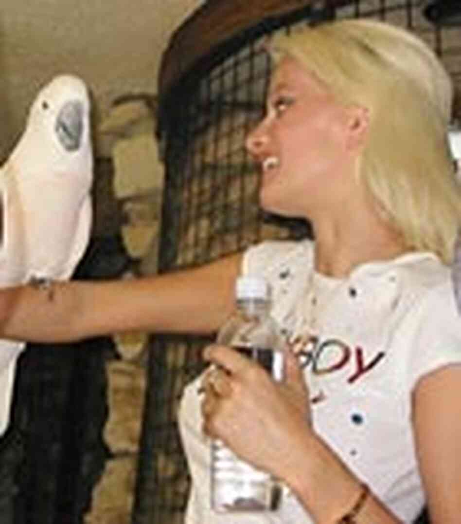 Holly Madison Holly Madison
