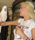 Holly Madison