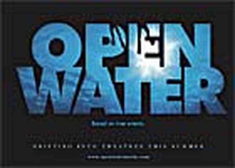 Detail from the poster for 'Open Water' Detail from the poster for 'Open Water'