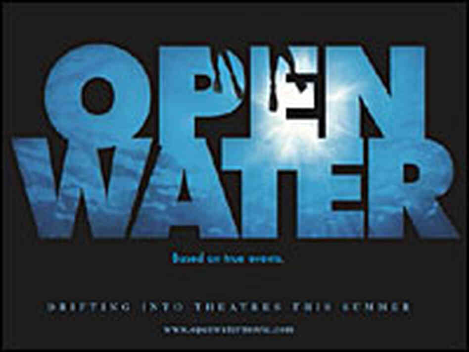 Detail from the poster for 'Open Water' Detail from the poster for 'Open Water'