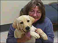 Kathy McAnally poses with her dog, a yellow lab mix. Kathy McAnally poses with her dog, a yellow lab mix.