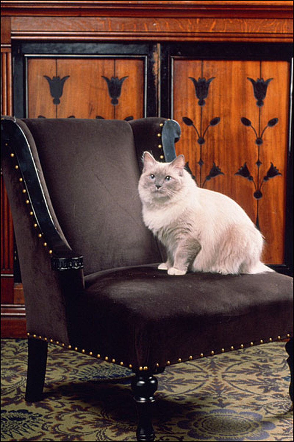 Matilda holds court at the Algonquin.