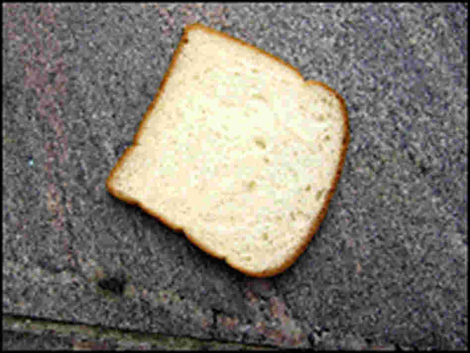 What if the Earth were a sandwich? 