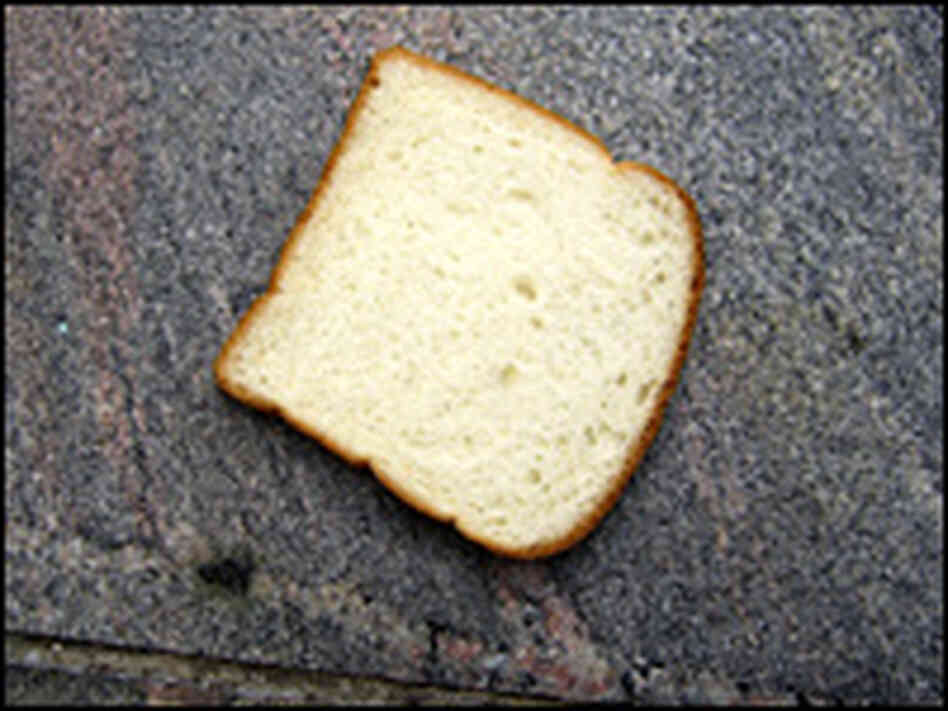 What if the Earth were a sandwich? 