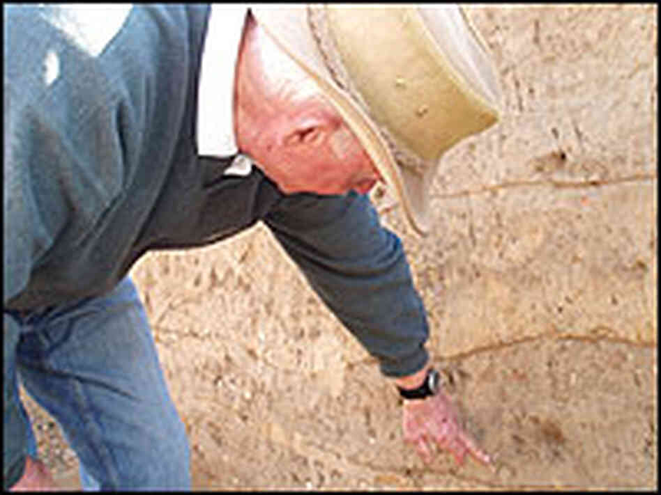 Kelso Points to Sediment Kelso Points to Sediment