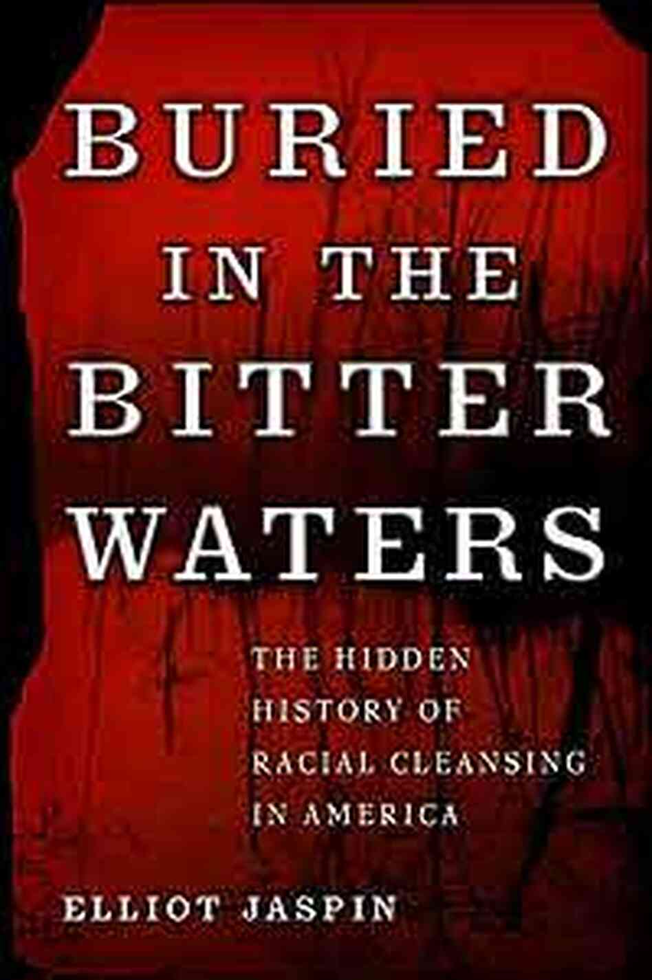 Buried in the Bitter Waters jacket image Buried in the Bitter Waters jacket image