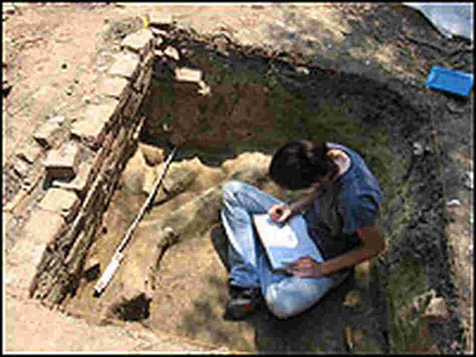 Archeological dig at Wye Plantation