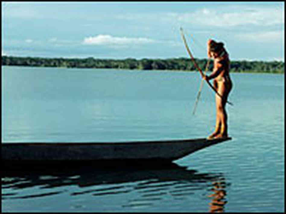 An Indian fishes off the bow of a boat in the Xingu region of the Amazon. An Indian fishes off the bow of a boat in the Xingu region of the Amazon.