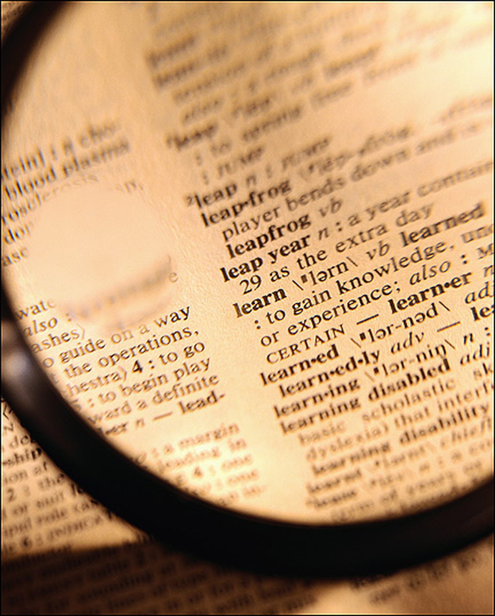 Magnifying glass held over dictionary