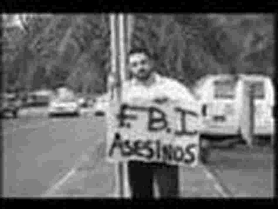 calle 13 video calle 13 video
