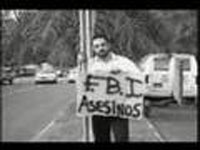 calle 13 video